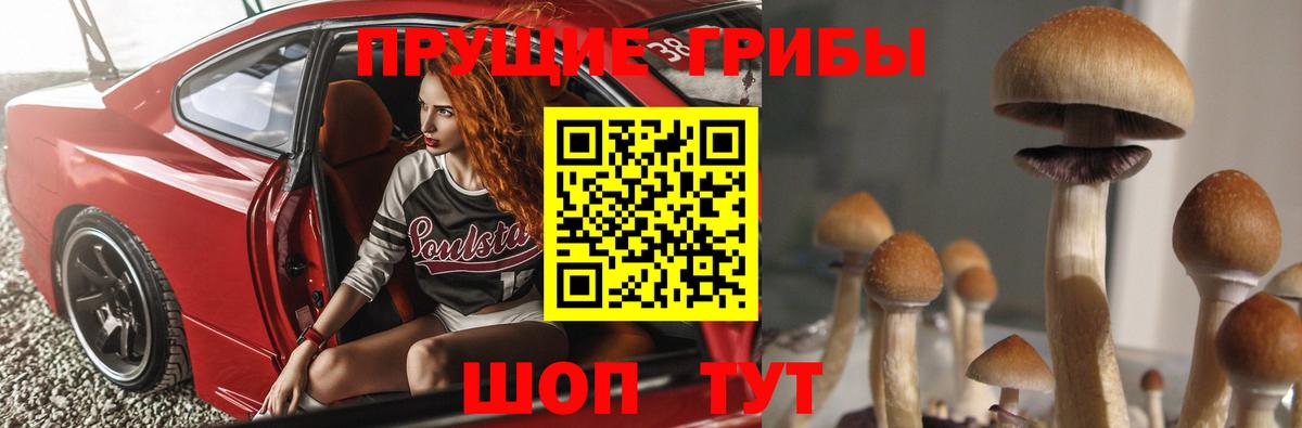 Псилоцибиновые грибы Cubensis Коммунар